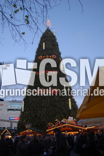 größter Weihnachtsbaum_1.jpg